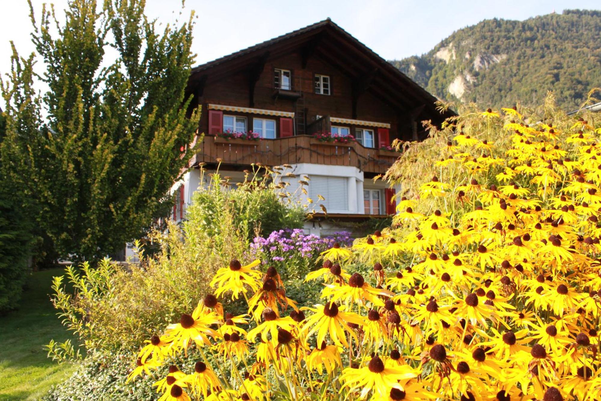 Adventure Guesthouse Interlaken Unterseen Εξωτερικό φωτογραφία
